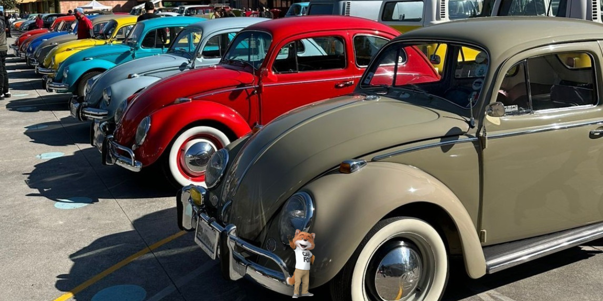 Treffen 2024: La exhibición de autos VW vintage en México