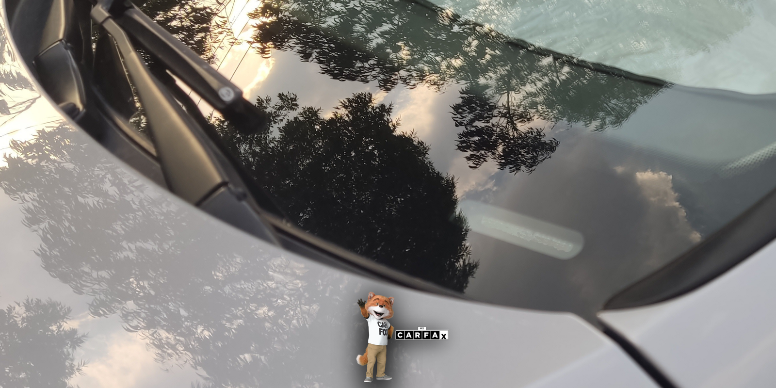 ¿Dónde se ubica el VIN en mi vehículo?