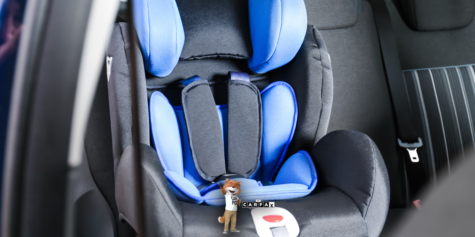 Cómo evaluar la seguridad de un vehículo