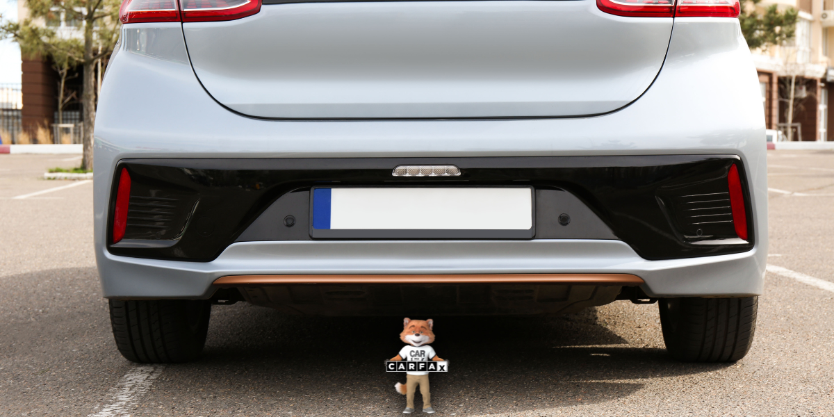 Expedición de placas de demostración en Tamaulipas