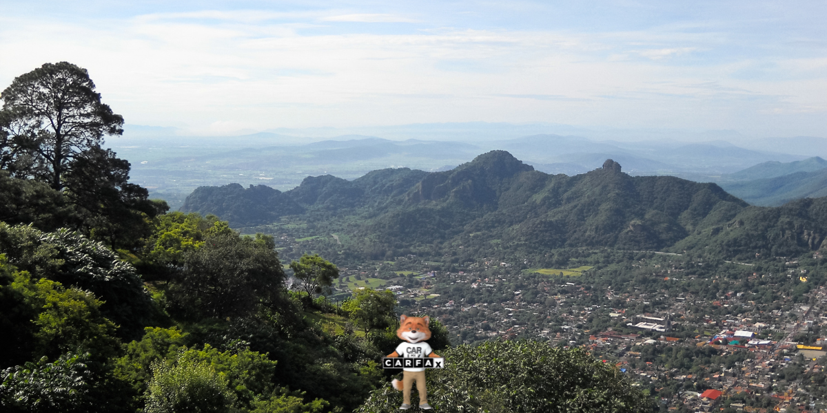 Canje de placas y/o actualización en el padrón estatal vehicular en Morelos