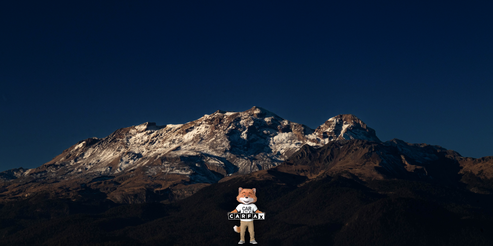 Reemplazo de placas en Puebla: Guía completa para pérdida o robo