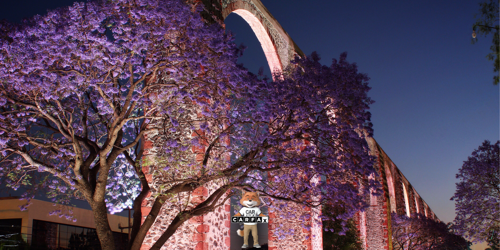 Permiso de traslado de vehículo en Querétaro: requisitos y pasos del trámite