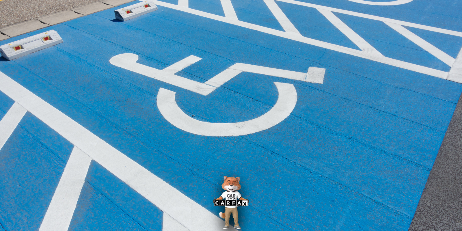 Guía para obtener la constancia de discapacidad para tramitar las placas especiales