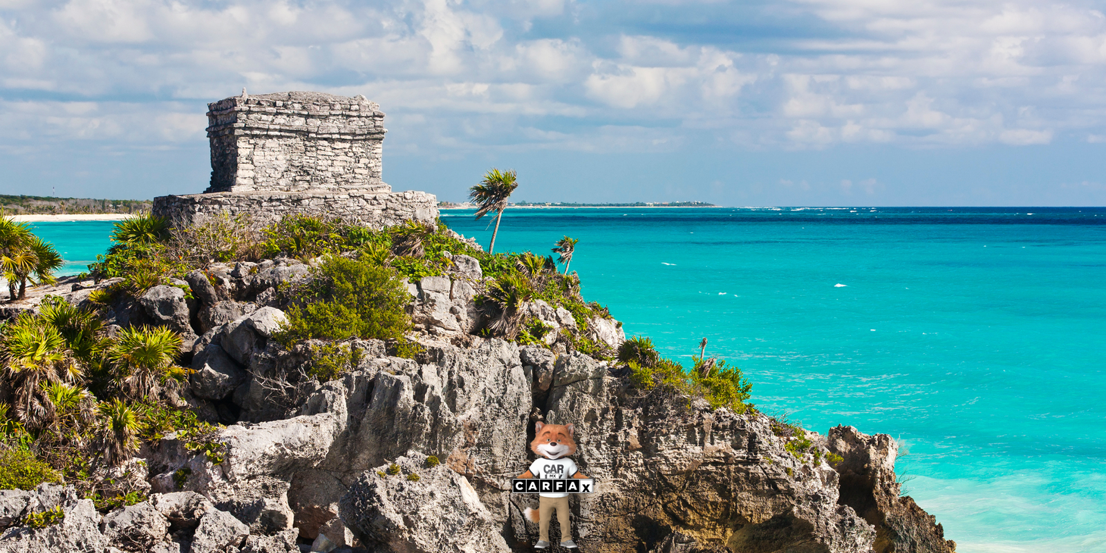 ¡No te quedes sin circular! Todo lo que debes saber sobre el reemplacamiento en Yucatán