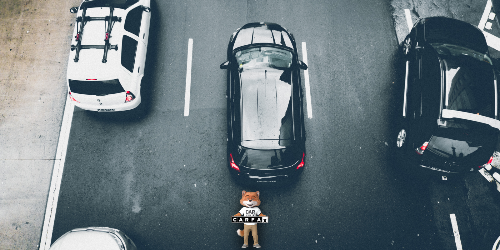 Permiso para transportar carga en vehículo particular en Edomex: requisitos y trámite