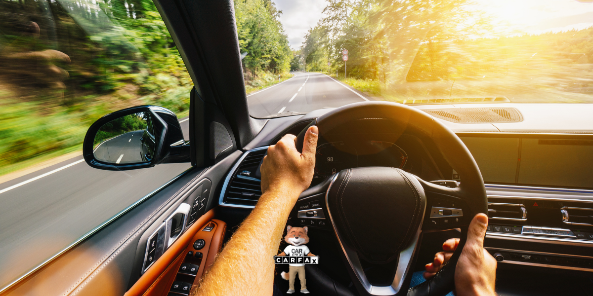 Guía para el refrendo de tarjeta de circulación en Quintana Roo