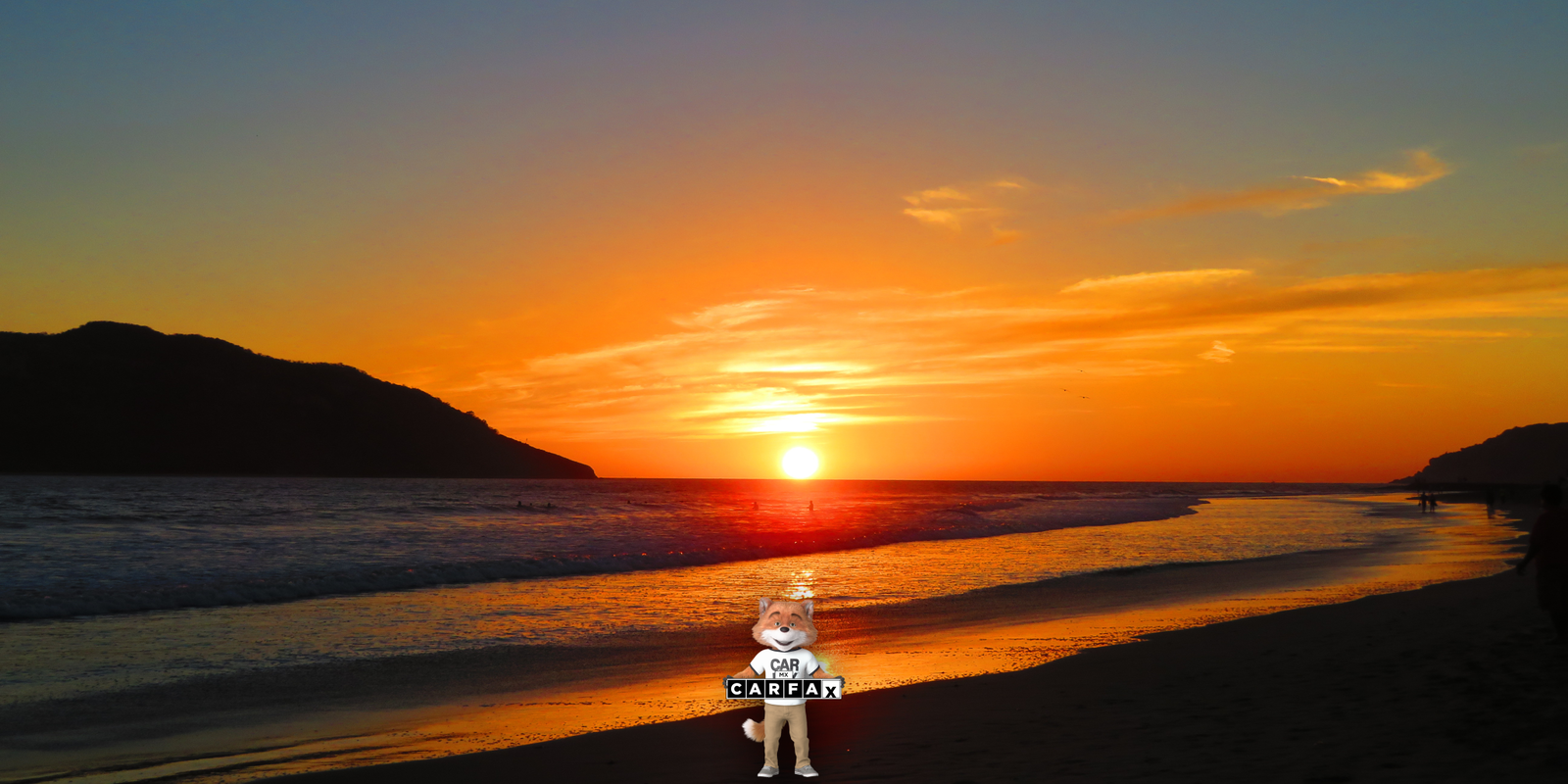 Baja de placas en Sinaloa 2024: Requisitos y procedimientos