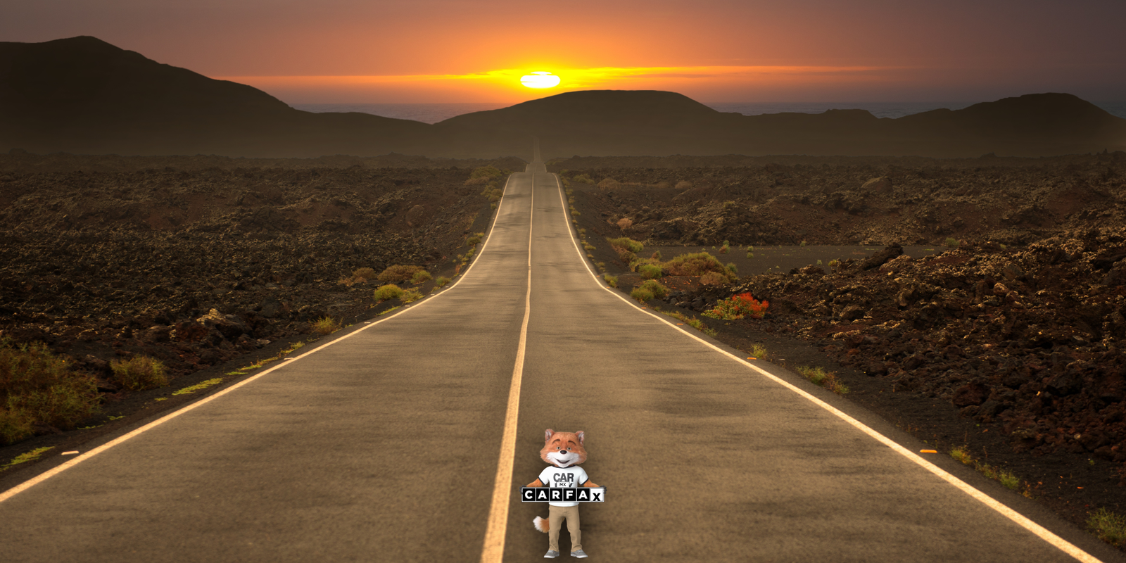 Guía para la revalidación de placas de circulación permanentes 2024 en Sonora