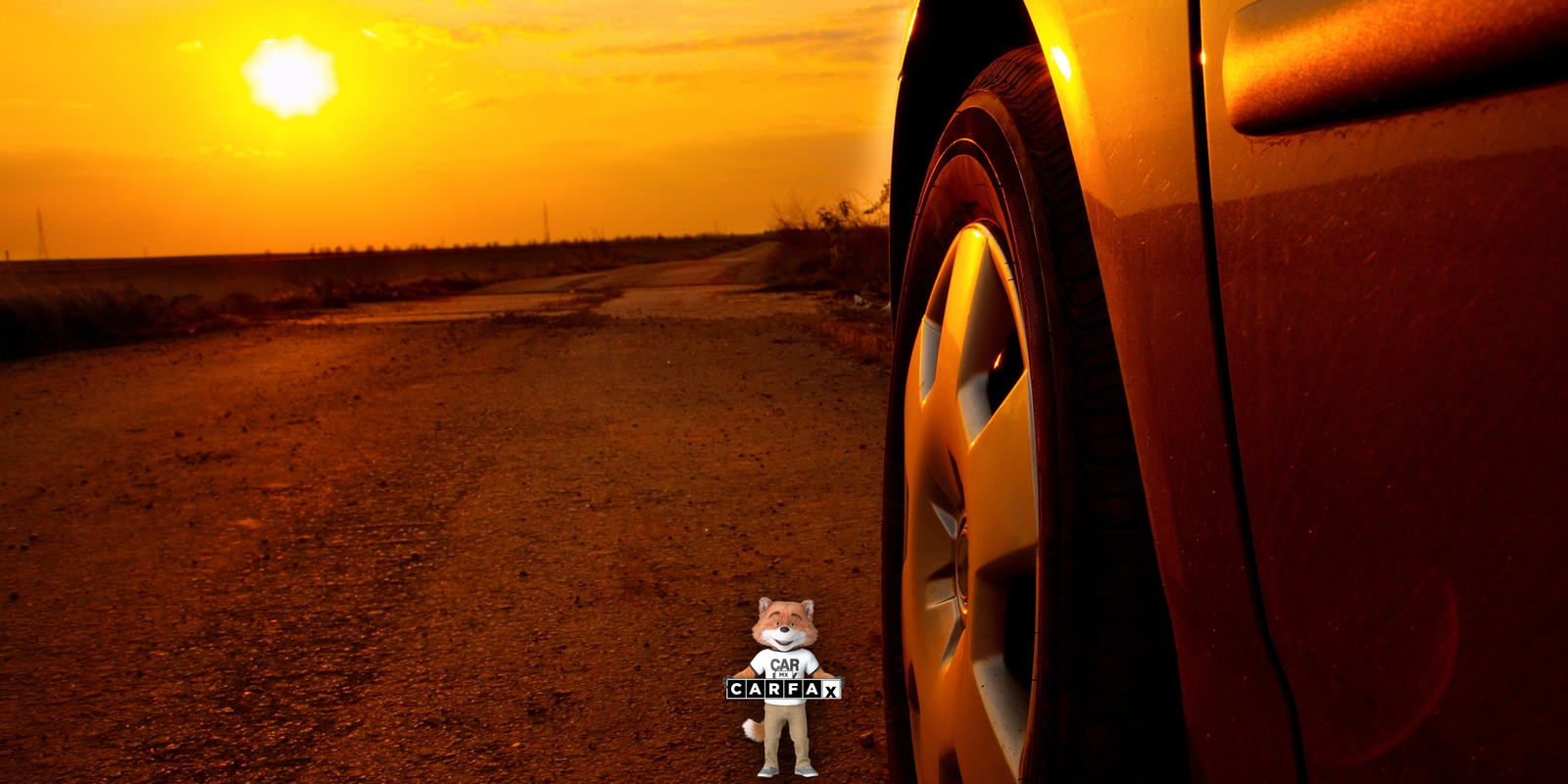 Baja de placas en Yucatán: requisitos, documentos y cómo hacer el trámite