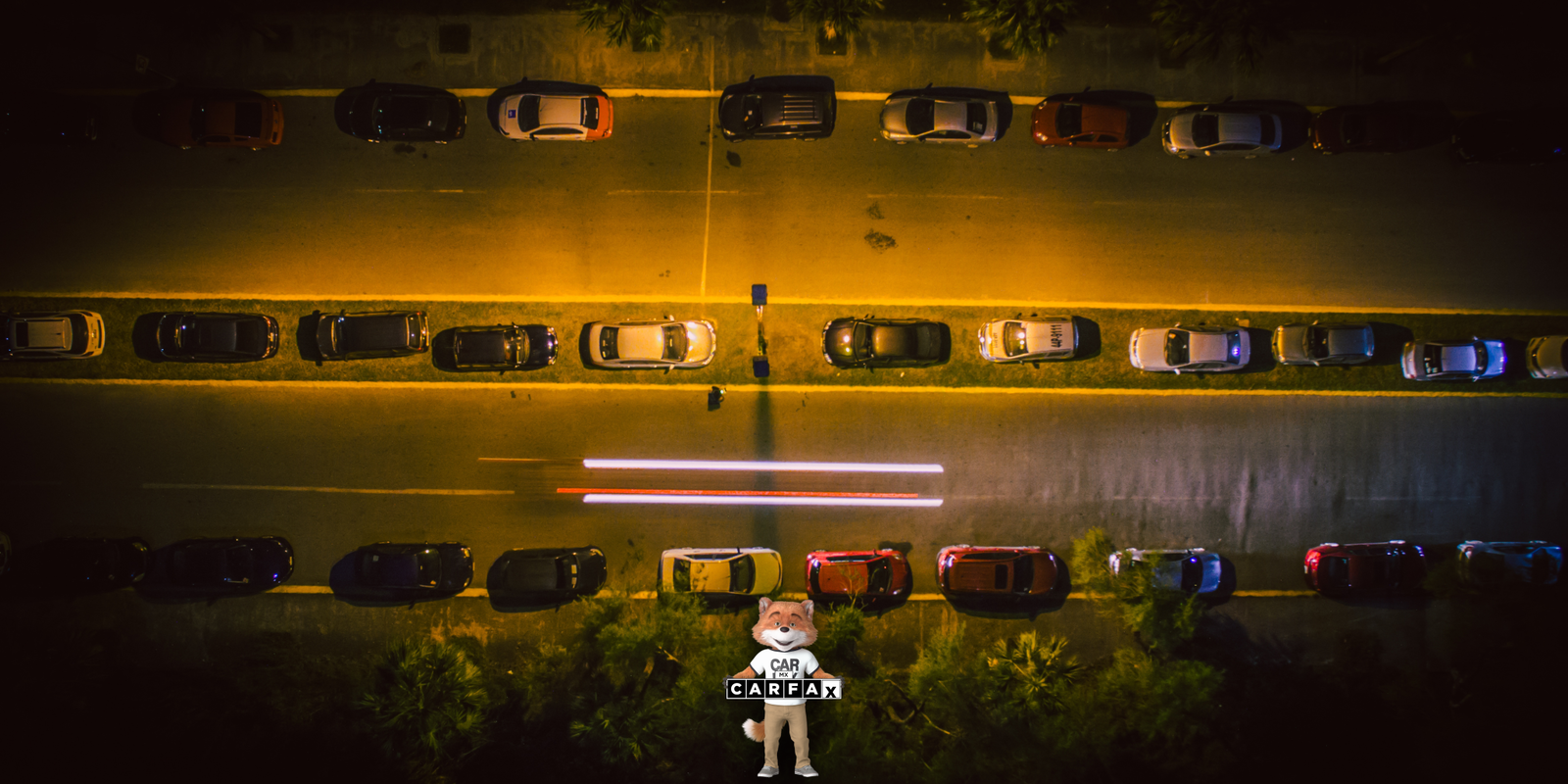 Guía para dar de baja un vehículo en Tamaulipas: Pasos y requisitos