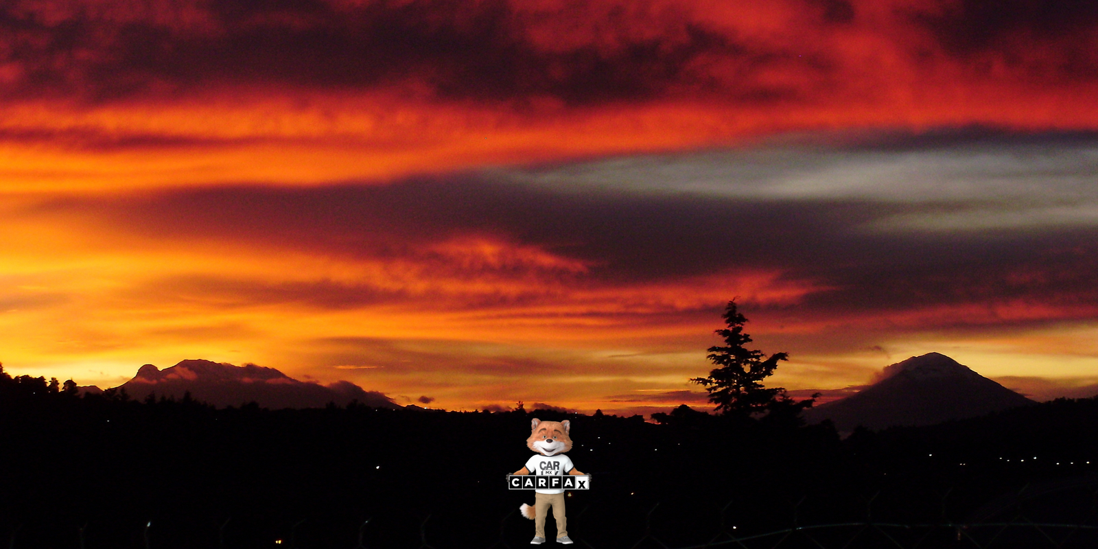 Cómo realizar la baja de unidad vehicular al padrón de servicio público en Tlaxcala