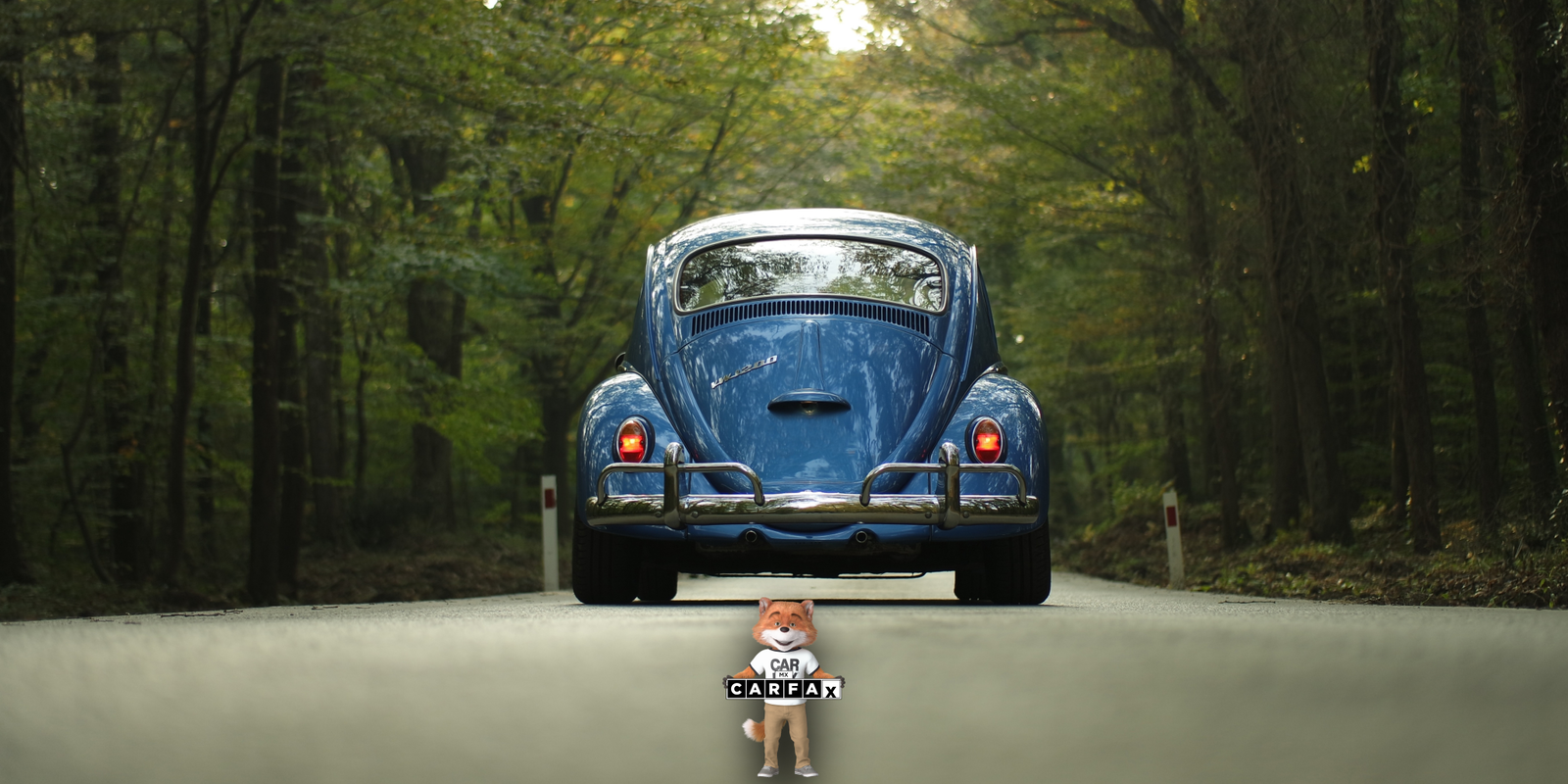 Requisitos y pasos a seguir para dar de baja tu vehículo en Tlaxcala