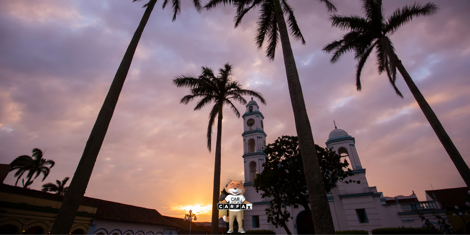 Baja de un vehículo privado en Veracruz por inutilidad o cambio a otra entidad federativa