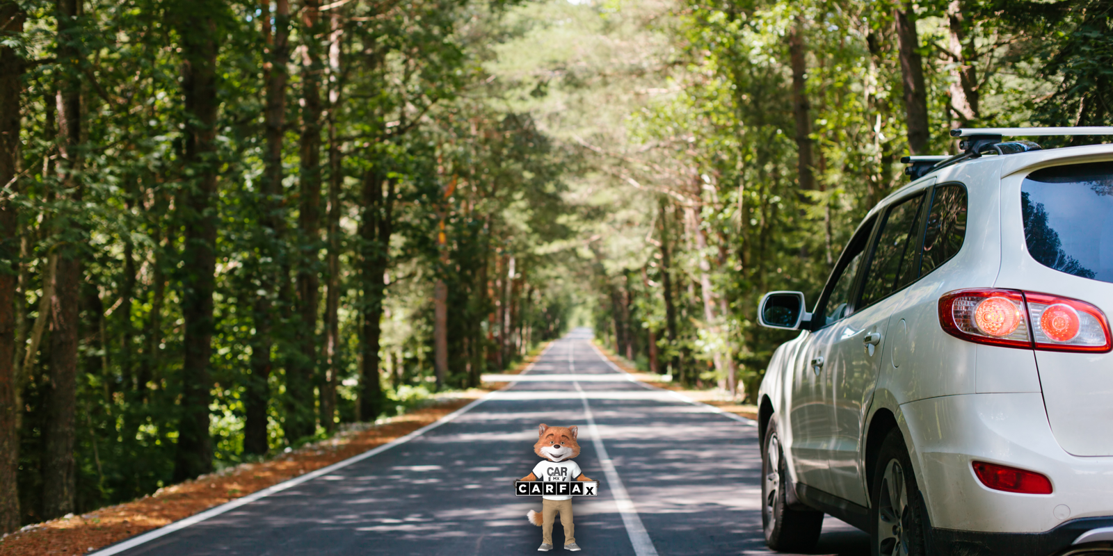 Guía para el alta de vehículos nuevos en el Estado de México