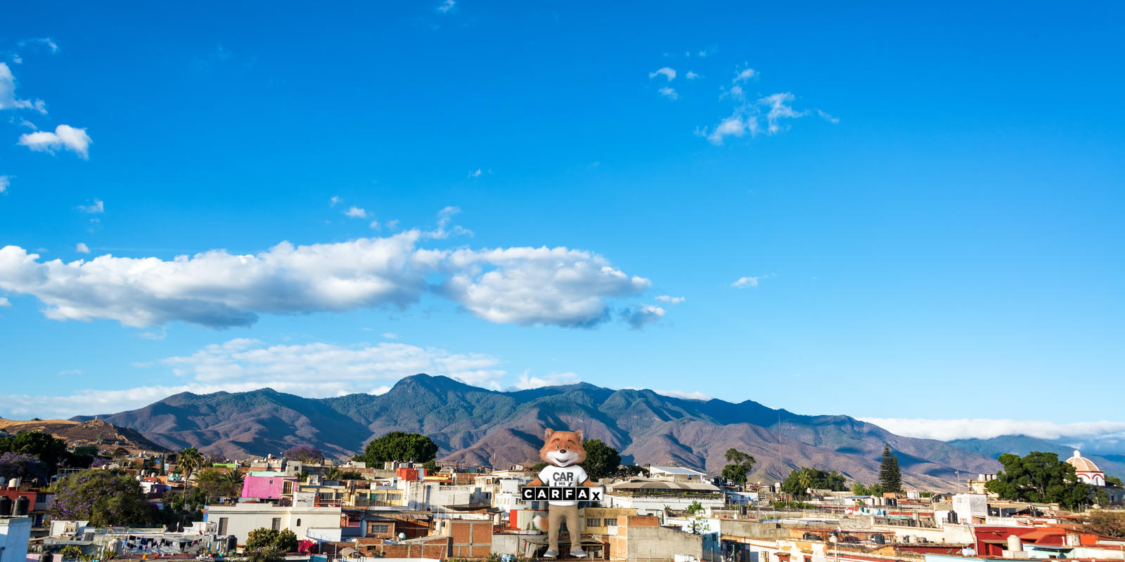 Verificación vehicular en Oaxaca: Costos y requisitos