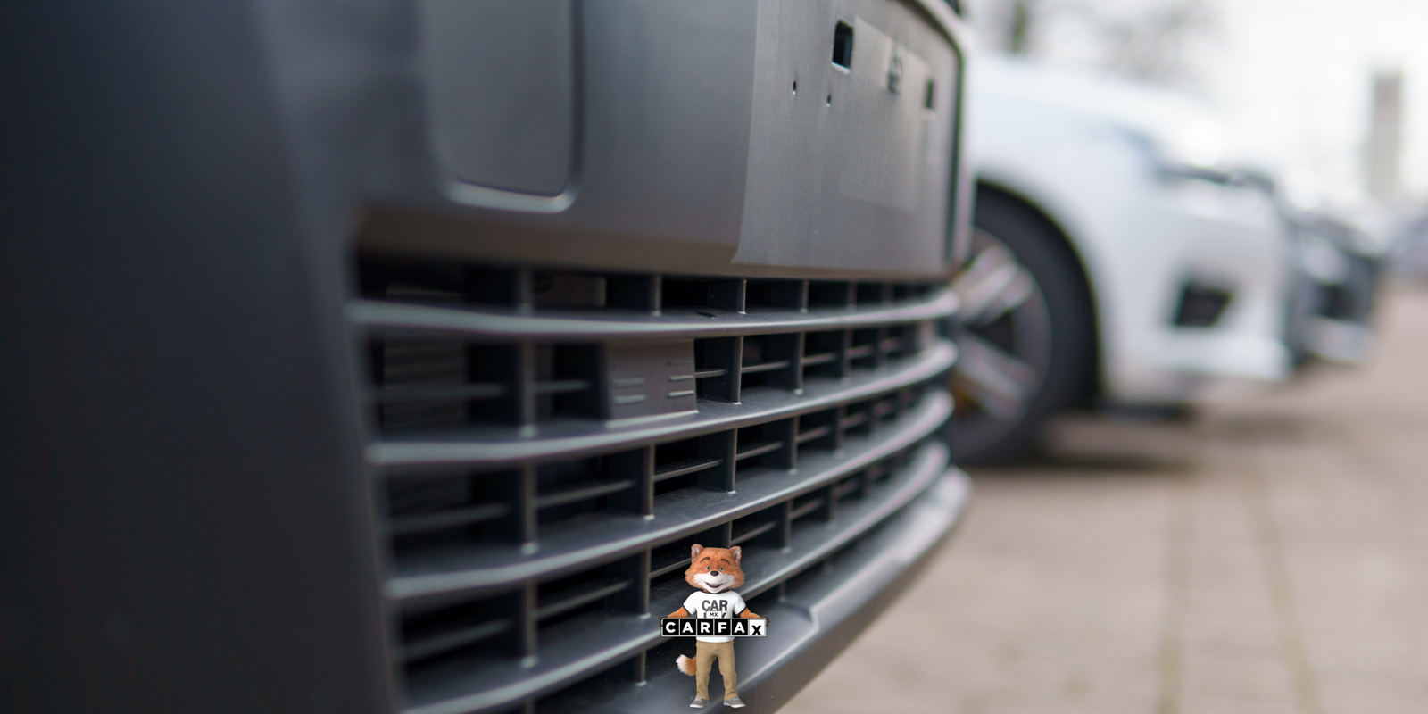 Reposición de placas de servicio público en Tabasco: requisitos y trámite