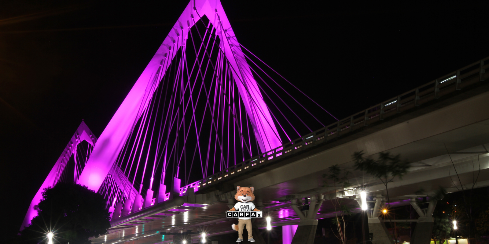 Denuncia en línea de extravío de documentos y/o placas de circulación en Jalisco: Guía completa