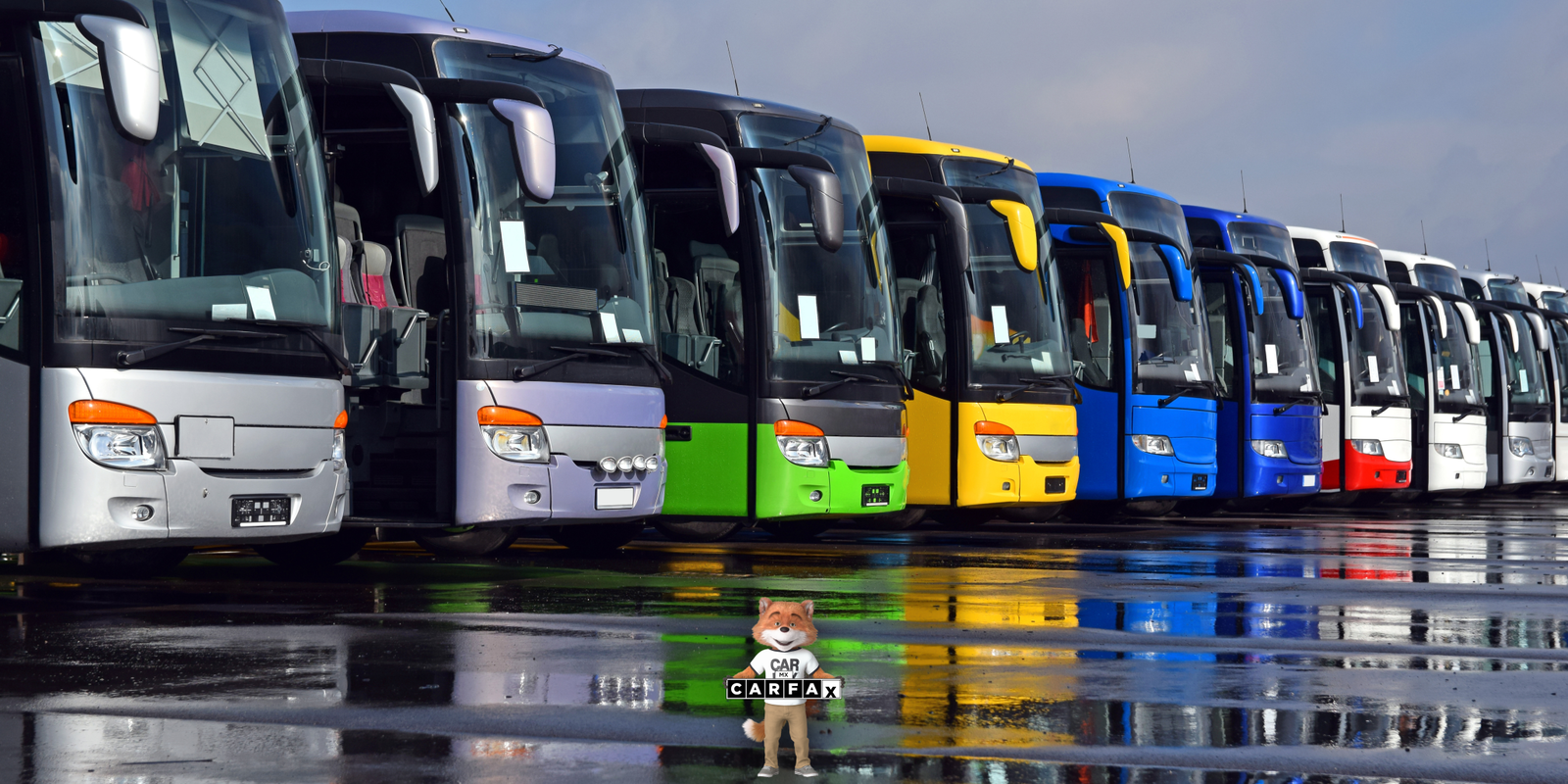 Sustitución vehicular y renovación de unidades de transporte en el estado de Baja California Sur