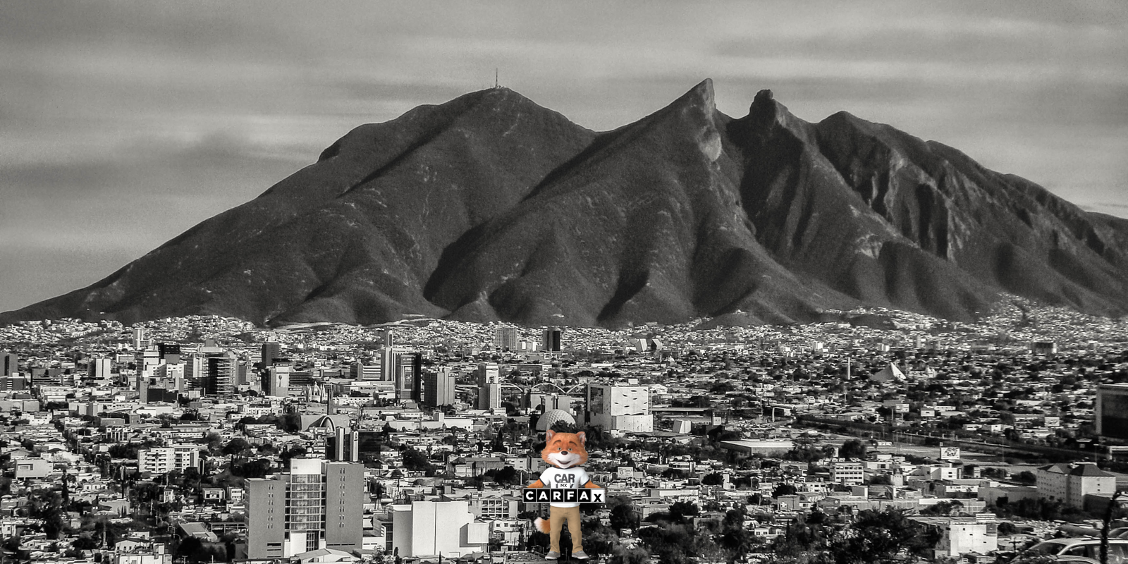 Guía rápida para la baja vehicular por venta y/o fuera de servicio en Nuevo León