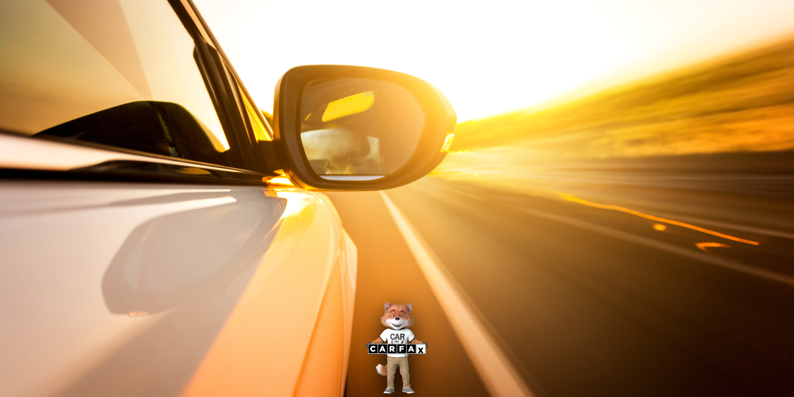 Baja de placas en Zacatecas: requisitos, documentos y cómo hacer el trámite