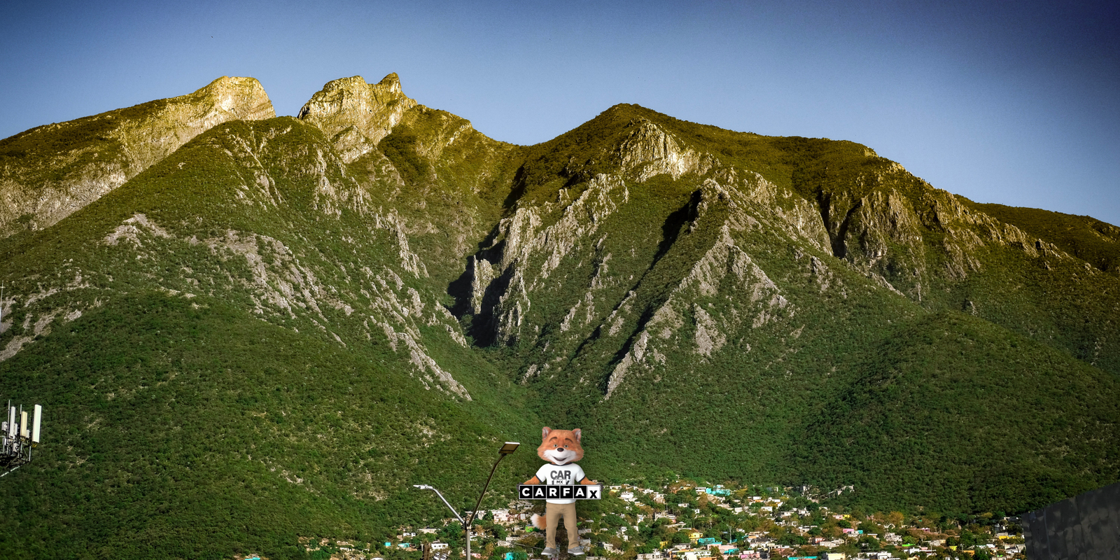 ¿Cómo puedo reponer mis placas de circulación en Nuevo León?