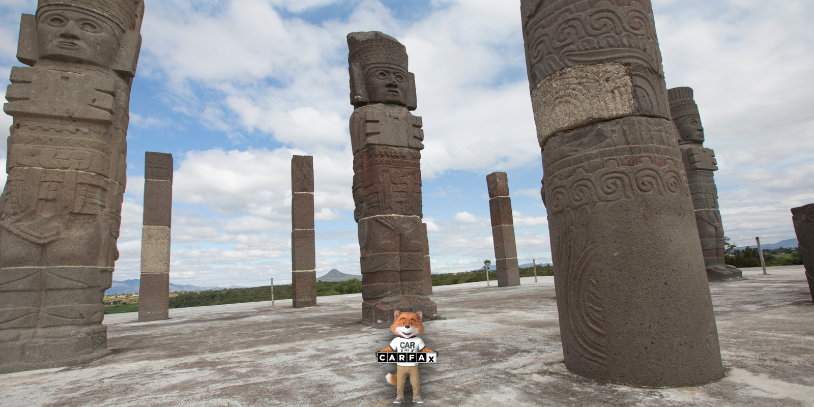 Proceso de baja de vehículos de transporte de servicio público en Hidalgo