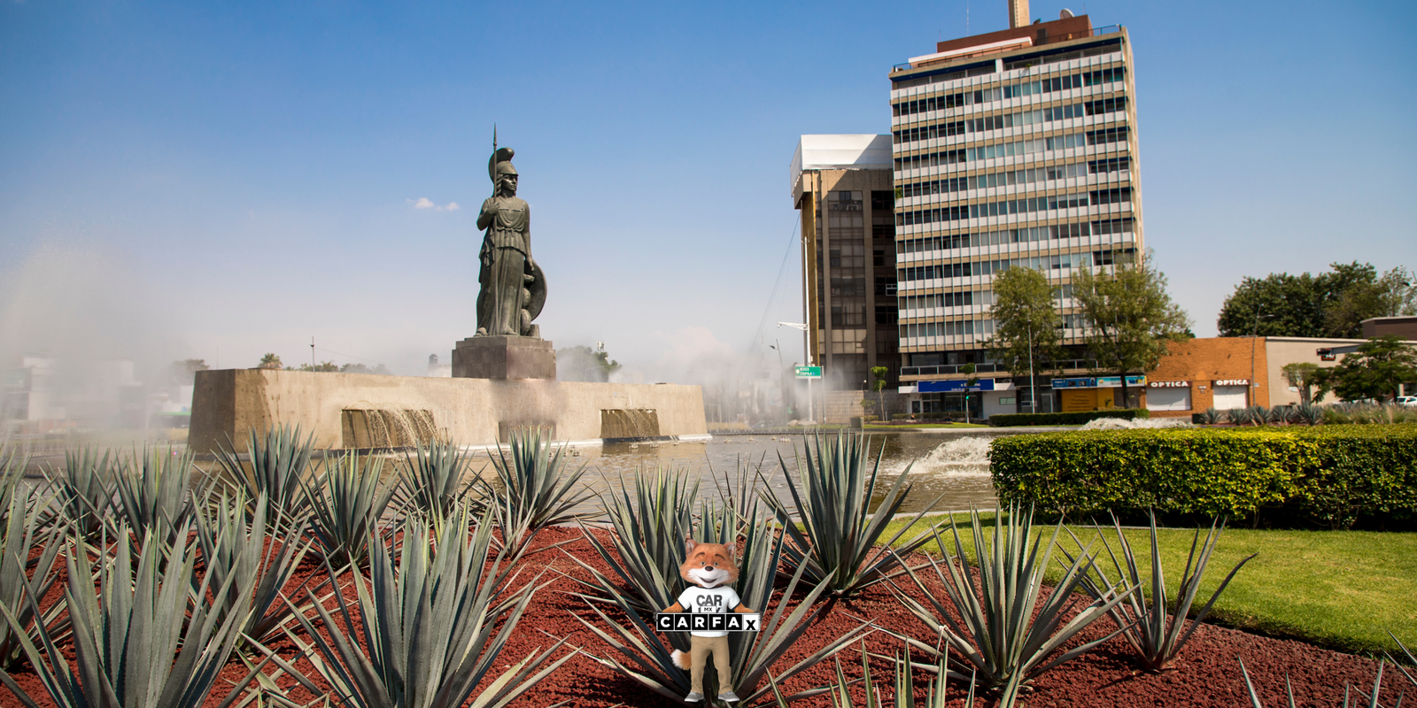 Guía para reponer tu licencia de conducir en Jalisco sin complicaciones