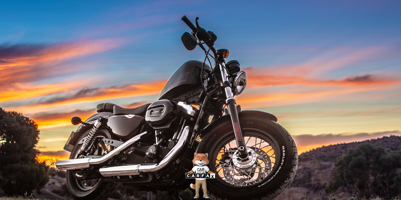 Placas para motocicleta en Sonora: requisitos y cómo tramitarlas