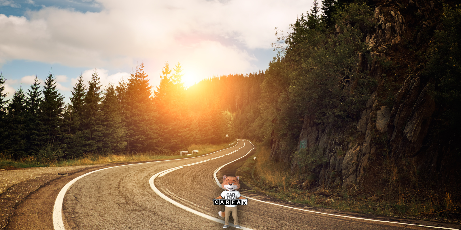 Guía para obtener placas de vehículo antiguo en Jalisco