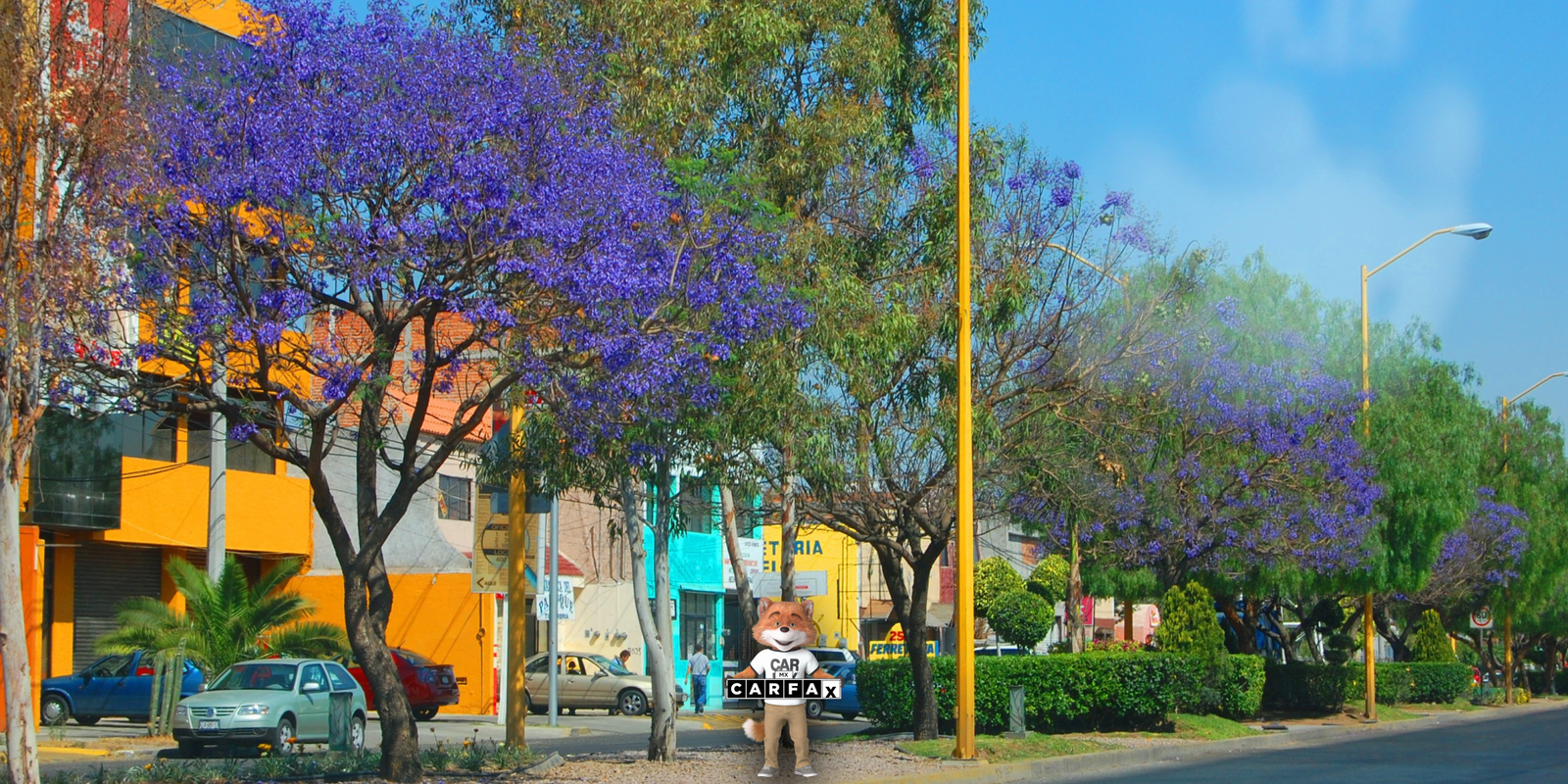 Alta de vehículo de servicio público (concesión nueva) en Aguascalientes: Requisitos y procedimiento