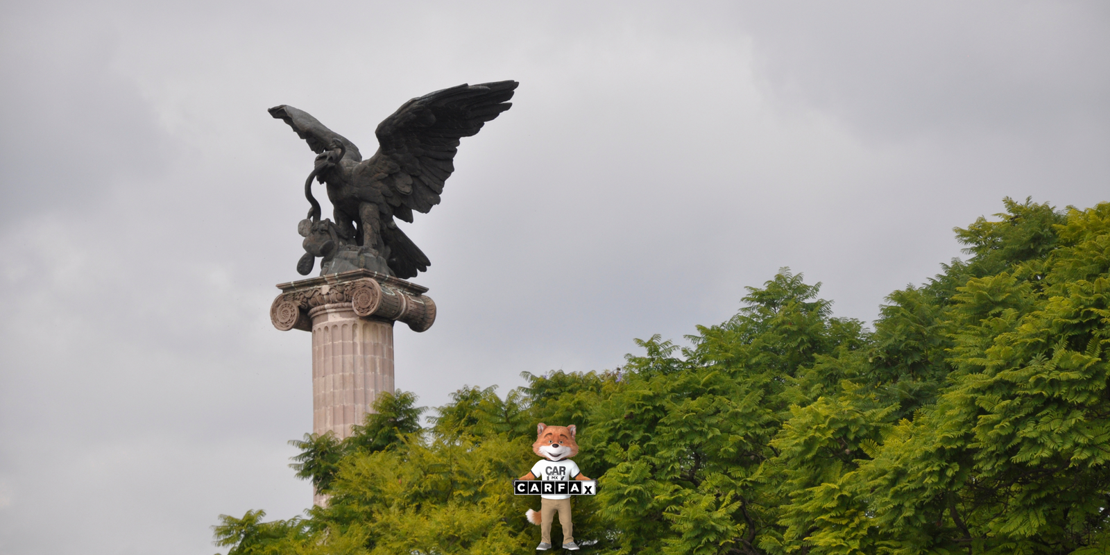 Alta de vehículo nuevo en Aguascalientes: requisitos y cómo hacer el trámite