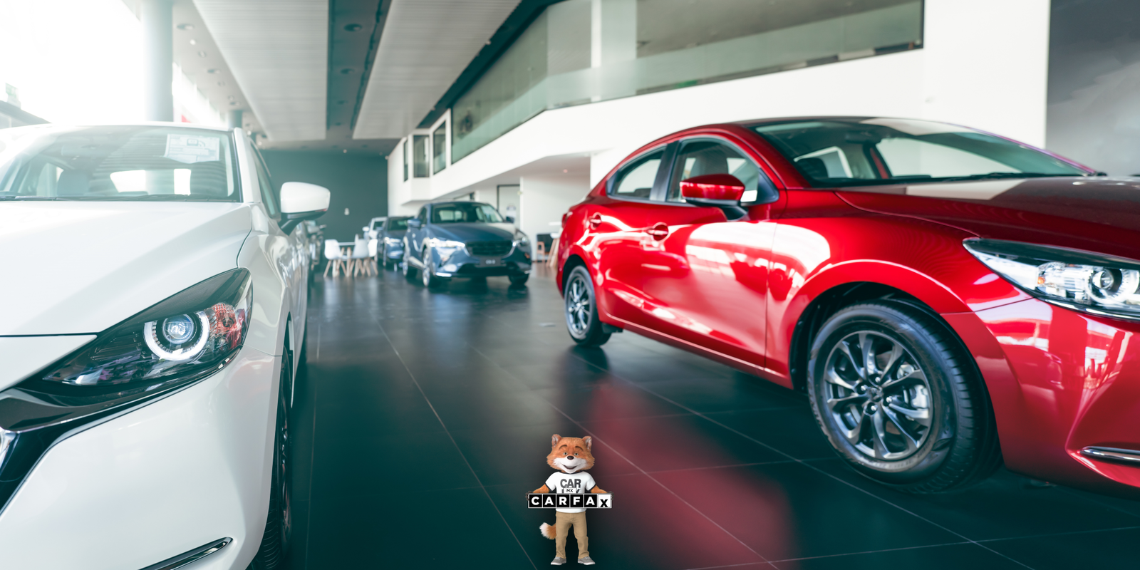 Proceso para dar de alta tu vehículo en Michoacán