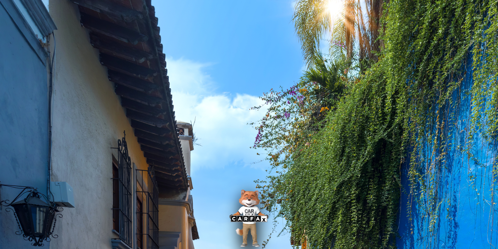 Guía para la baja de placas de vehículos particulares registrados en Morelos