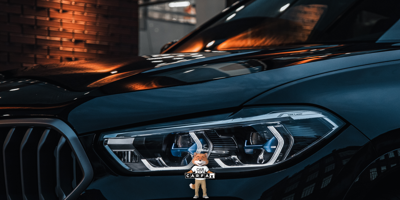 Baja de vehículo en Guanajuato: requisitos y cómo hacer el trámite