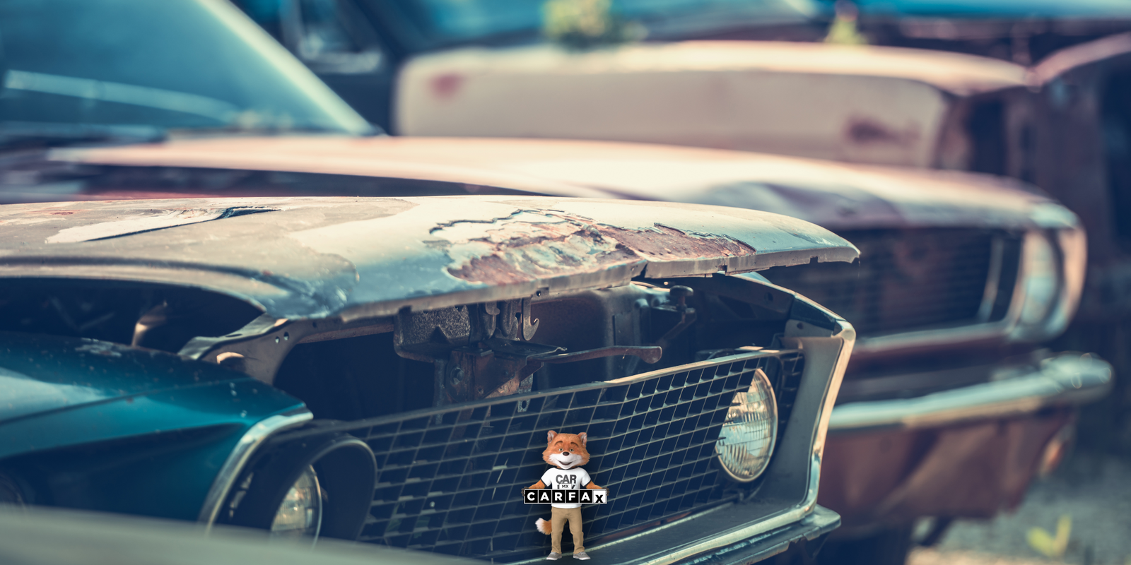 Guía rápida para el trámite de baja administrativa de placas vehiculares en Durango