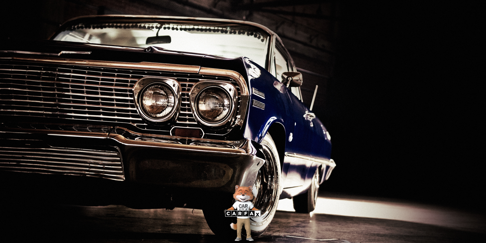 Reposición de tarjeta de circulación de vehículos particulares en Durango: Guía y requisitos