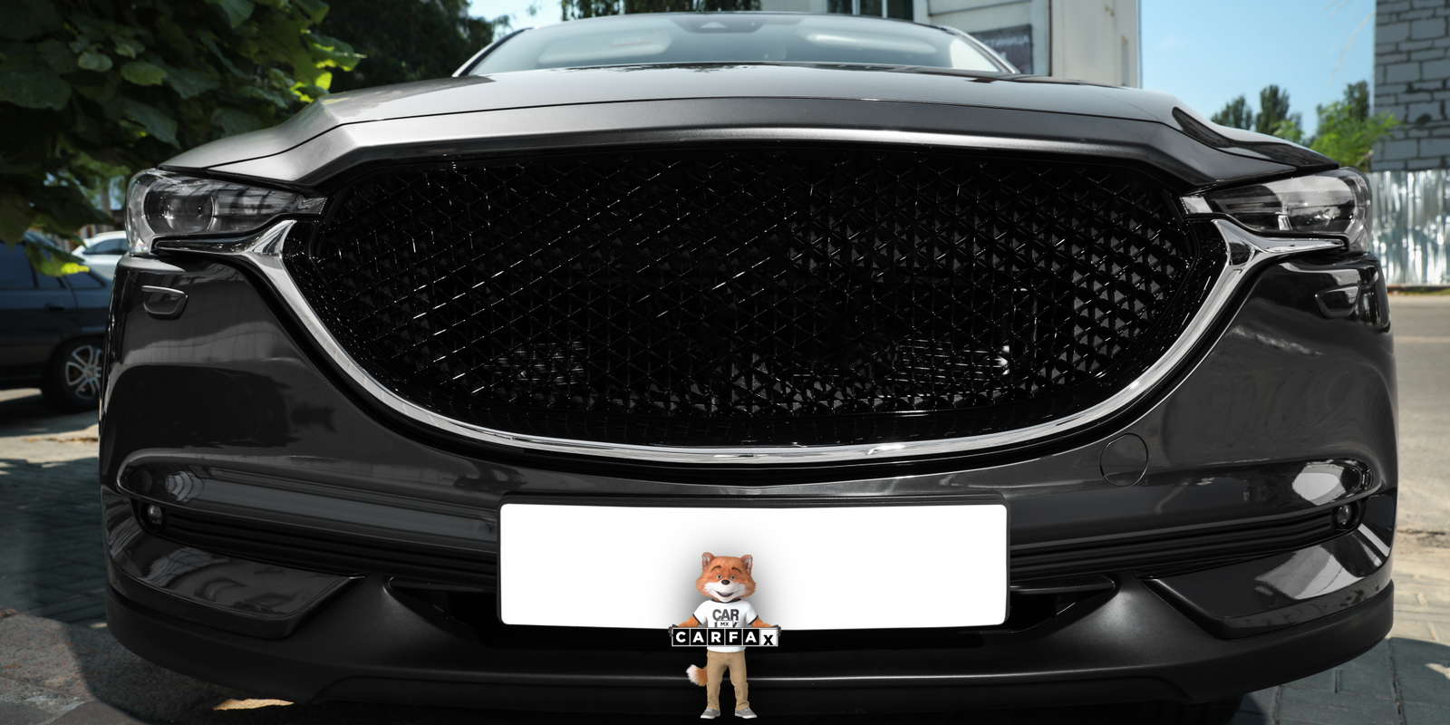 Tramita tu permiso para circular sin placas en Sonora