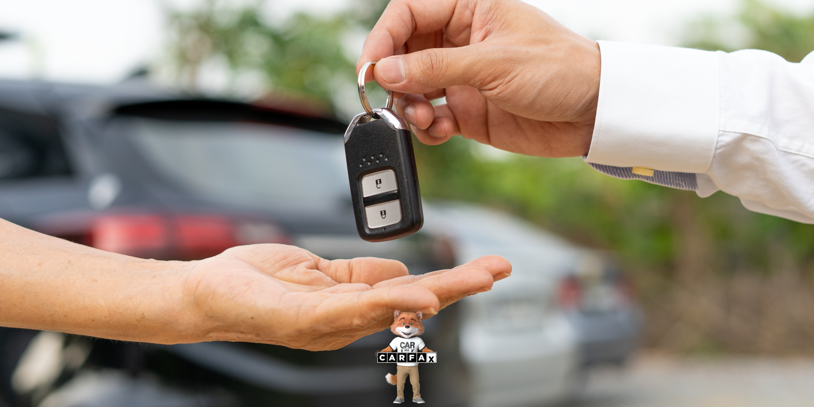 ¿Cómo realizar el cambio de propietario en Guanajuato?