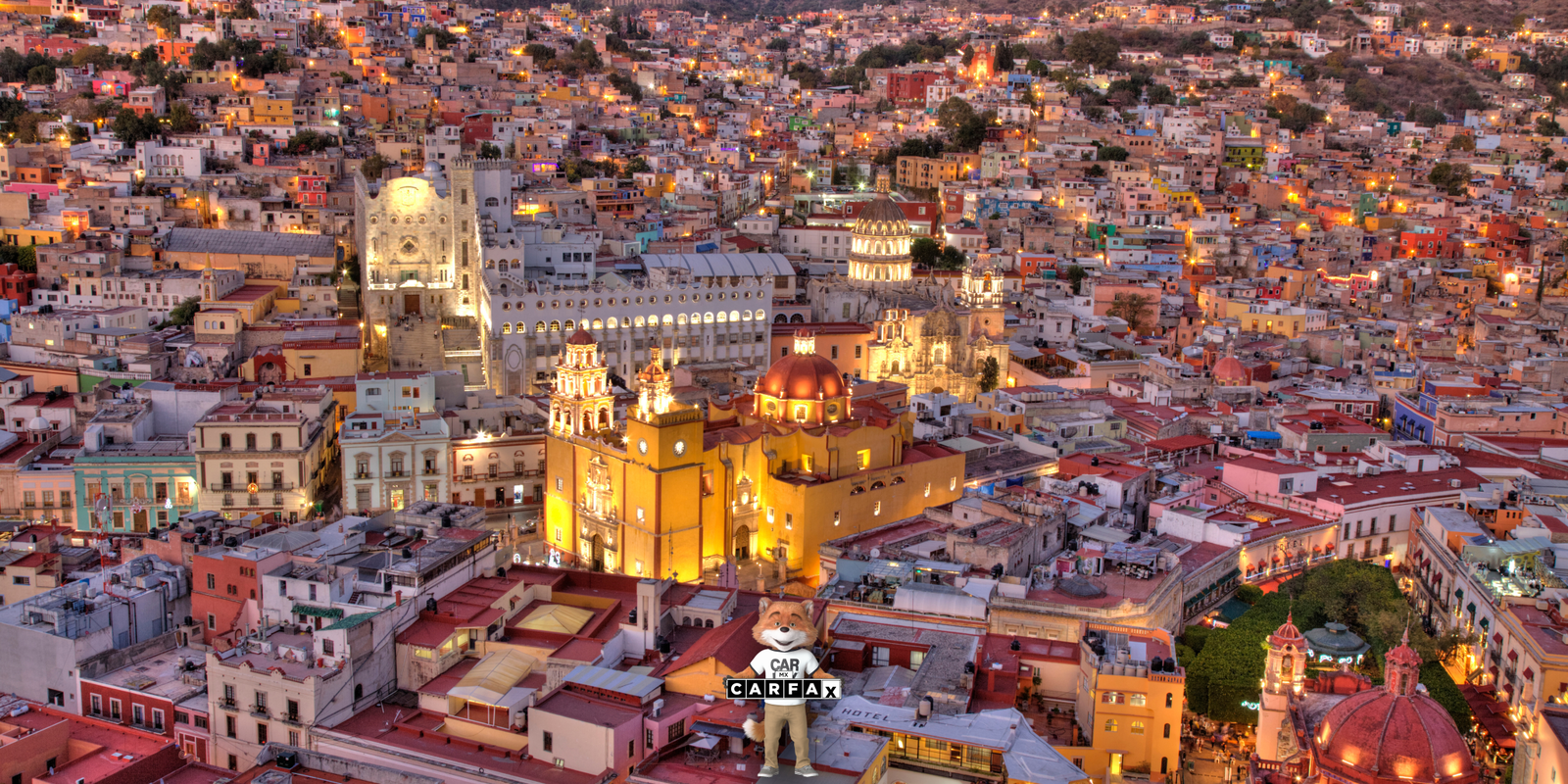 Guía para obtener tu licencia de conducir vehículos de servicio público en Guanajuato (tipo B)