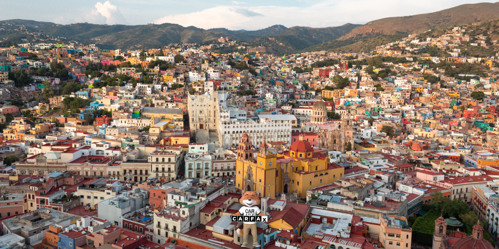 Renueva tu licencia de conducir en Guanajuato: Guía y requisitos