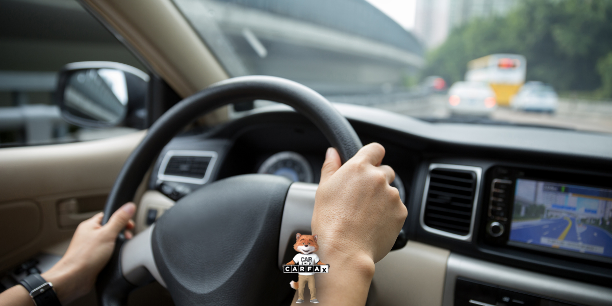 Expedición de placas por cambio de propietario en Puebla: requisitos y pasos del trámite